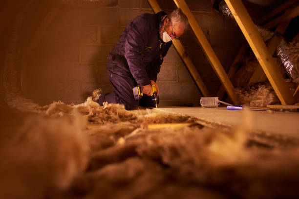 Best Insulation Contractors for Homes  in Kenhorst, PA
